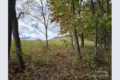 Tbd Wards Gap Road, Casar, NC 28020 - Photo 31