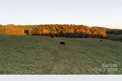 Tbd Wards Gap Road, Casar, NC 28020 - Photo 21