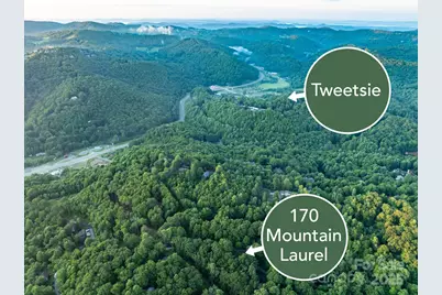 170 Mountain Laurel Lane, Blowing Rock, NC 28605 - Photo 7