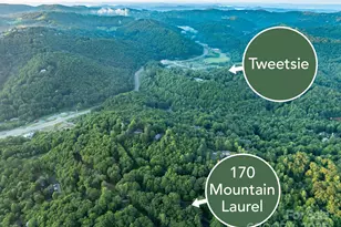 170 Mountain Laurel Ln, Blowing Rock, NC 28605 - Photo 7