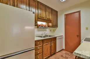 1 Lynx Dr, Black Mountain, NC 28711 - Photo 27