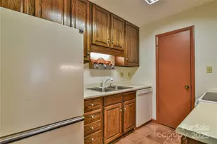 1 Lynx Dr, Black Mountain, NC 28711 - Photo 25