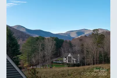 1 Lynx Drive #C-1, Black Mountain, NC 28711 - Photo 41