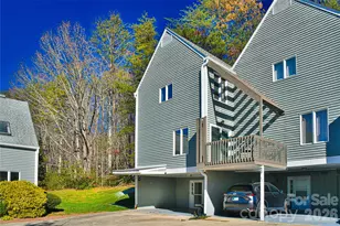 1 Lynx Dr, Black Mountain, NC 28711 - Photo 33