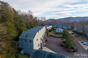 1 Lynx Dr, Black Mountain, NC 28711 - Photo 41