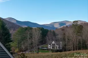 1 Lynx Dr, Black Mountain, NC 28711 - Photo 41