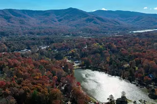 1 Lynx Dr, Black Mountain, NC 28711 - Photo 37