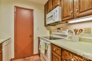 1 Lynx Dr, Black Mountain, NC 28711 - Photo 11