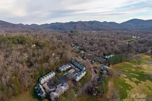 1 Lynx Dr, Black Mountain, NC 28711 - Photo 45