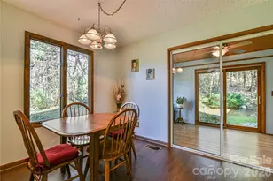 1 Lynx Dr, Black Mountain, NC 28711 - Photo 21