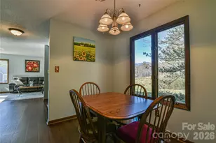 1 Lynx Dr, Black Mountain, NC 28711 - Photo 25