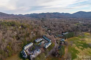 1 Lynx Dr, Black Mountain, NC 28711 - Photo 45