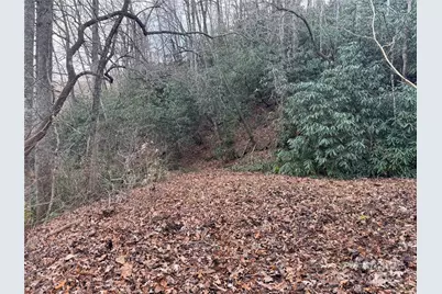 2664 Nc Hwy 9 Highway, Black Mountain, NC 28711 - Photo 3