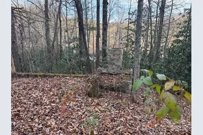 2664 Nc Hwy 9 Highway, Black Mountain, NC 28711 - Photo 13
