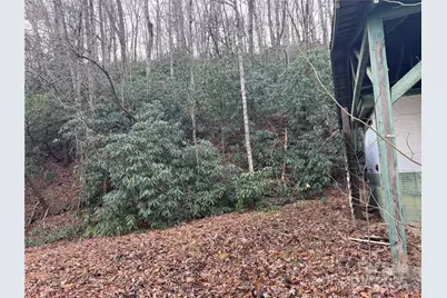 2664 Nc Hwy 9 Highway, Black Mountain, NC 28711 - Photo 11