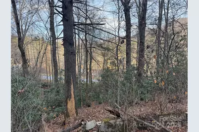2664 Nc Hwy 9 Highway, Black Mountain, NC 28711 - Photo 5