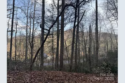 2664 Nc Hwy 9 Highway, Black Mountain, NC 28711 - Photo 15
