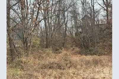 17 Green Street, Asheville, NC 28801 - Photo 3