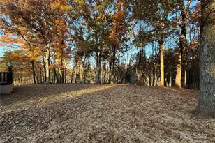 5330 Herman Rd, Claremont, NC 28610 - Photo 3