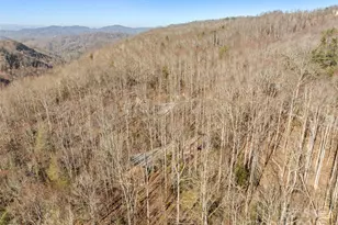 2959/2961 Bearwallow Mountain Rd, Hendersonville, NC 28792 - Photo 45