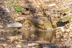 2959/2961 Bearwallow Mountain Rd, Hendersonville, NC 28792 - Photo 33