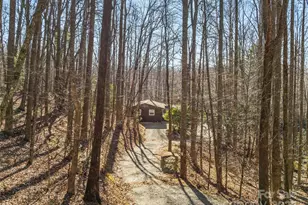 2959/2961 Bearwallow Mountain Rd, Hendersonville, NC 28792 - Photo 35