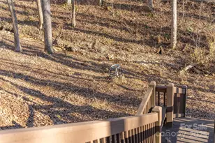 2959/2961 Bearwallow Mountain Rd, Hendersonville, NC 28792 - Photo 15