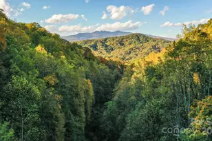 4189 Bristol Pl, Collettsville, NC 28611 - Photo 35