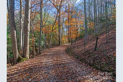 321 Lyle Lane, Green Mountain, NC 28740 - Photo 9