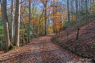 321 Lyle Ln, Green Mountain, NC 28740 - Photo 9