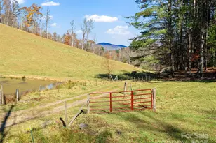 321 Lyle Ln, Green Mountain, NC 28740 - Photo 17