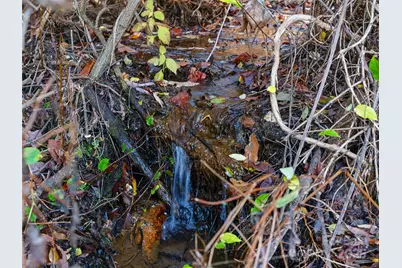 321 Lyle Lane, Green Mountain, NC 28740 - Photo 11