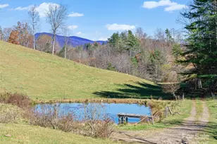 321 Lyle Ln, Green Mountain, NC 28740 - Photo 5