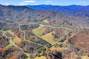 321 Lyle Ln, Green Mountain, NC 28740 - Photo 3