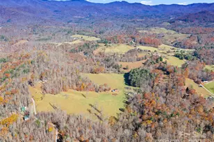 321 Lyle Ln, Green Mountain, NC 28740 - Photo 19