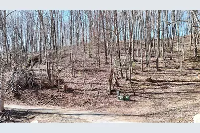 2 Roberts Mountain Road #2, Clyde, NC 28721 - Photo 9