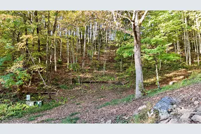 2 Roberts Mountain Road #2, Clyde, NC 28721 - Photo 5