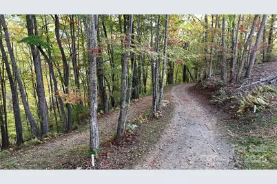 2 Roberts Mountain Road #2, Clyde, NC 28721 - Photo 7