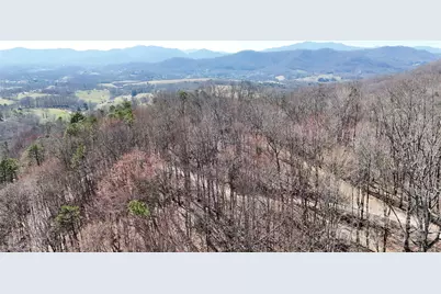 2 Roberts Mountain Road #2, Clyde, NC 28721 - Photo 27