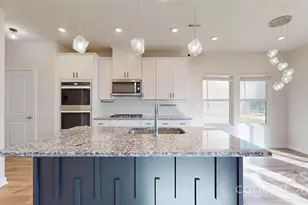 527 Palmarosa St, Fort Mill, SC 29715 - Photo 9