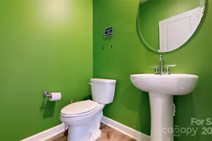 527 Palmarosa St, Fort Mill, SC 29715 - Photo 5