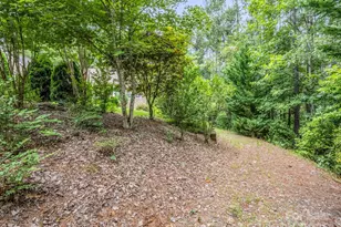 940 Hugh Champion Rd, Tryon, NC 28782 - Photo 9