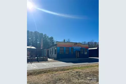 302 S Whitted Street, Hendersonville, NC 28739 - Photo 39