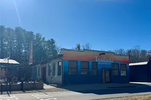 302 S Whitted St, Hendersonville, NC 28739 - Photo 39