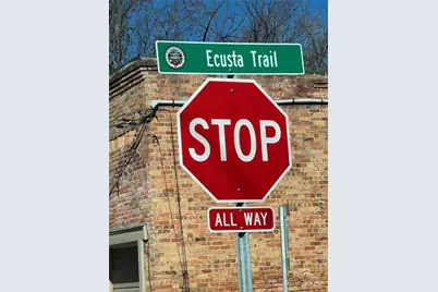 302 S Whitted Street, Hendersonville, NC 28739 - Photo 41