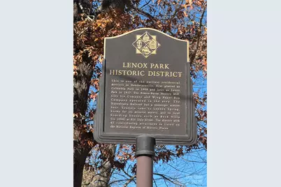 302 S Whitted Street, Hendersonville, NC 28739 - Photo 37