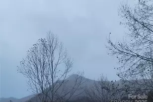 141 Pike Point, Waynesville, NC 28785 - Photo 19