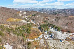 2581 Double Island Rd, Burnsville, NC 28740 - Photo 39