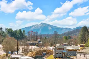 2581 Double Island Rd, Green Mountain, NC 28740 - Photo 37