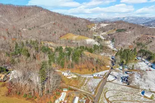 2581 Double Island Rd, Green Mountain, NC 28740 - Photo 39